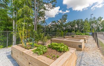 Dominium-Grayson Ridge-Community Garden